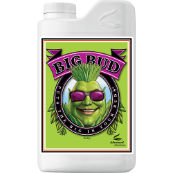 Big Bud