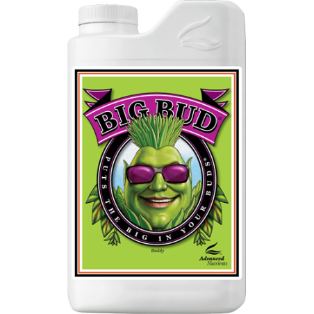 Big Bud