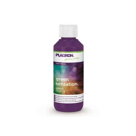 Green Sensation