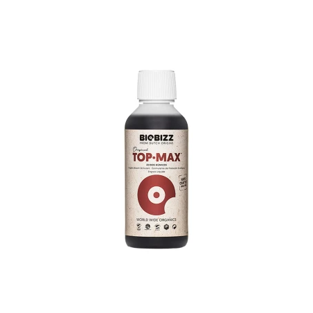 Top Max